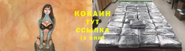 мяу мяу мука Пестово