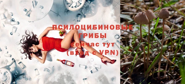 твердый Белоозёрский