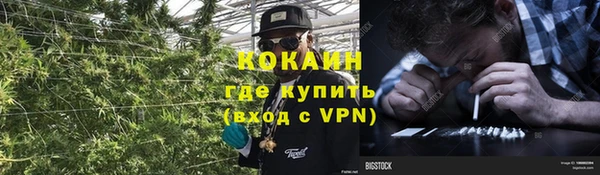 гашик Пересвет